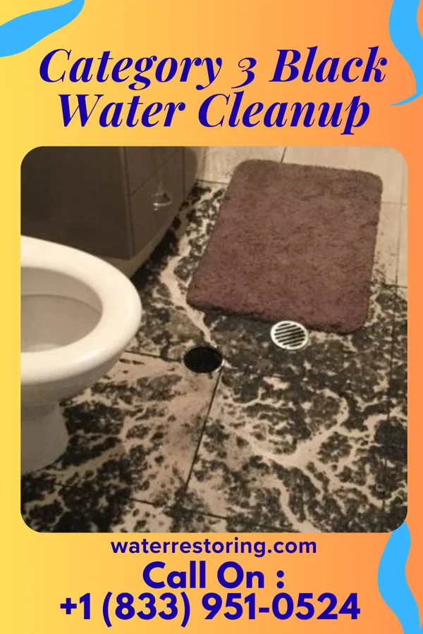 Category 3 Black Water Cleanup in Aldine, TX