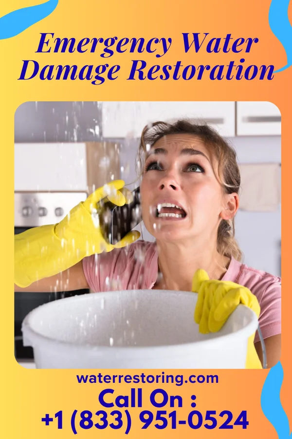 Emergency Water Damage Restoration in Aldine, TX