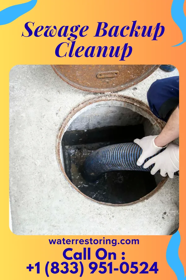 Sewage Backup Cleanup in Aldine, TX