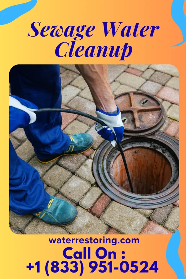 Sewage Water Cleanup in Aldine, TX