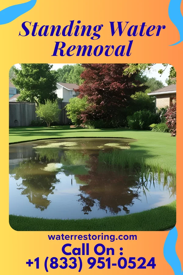 Standing Water Removal in Aldine, TX